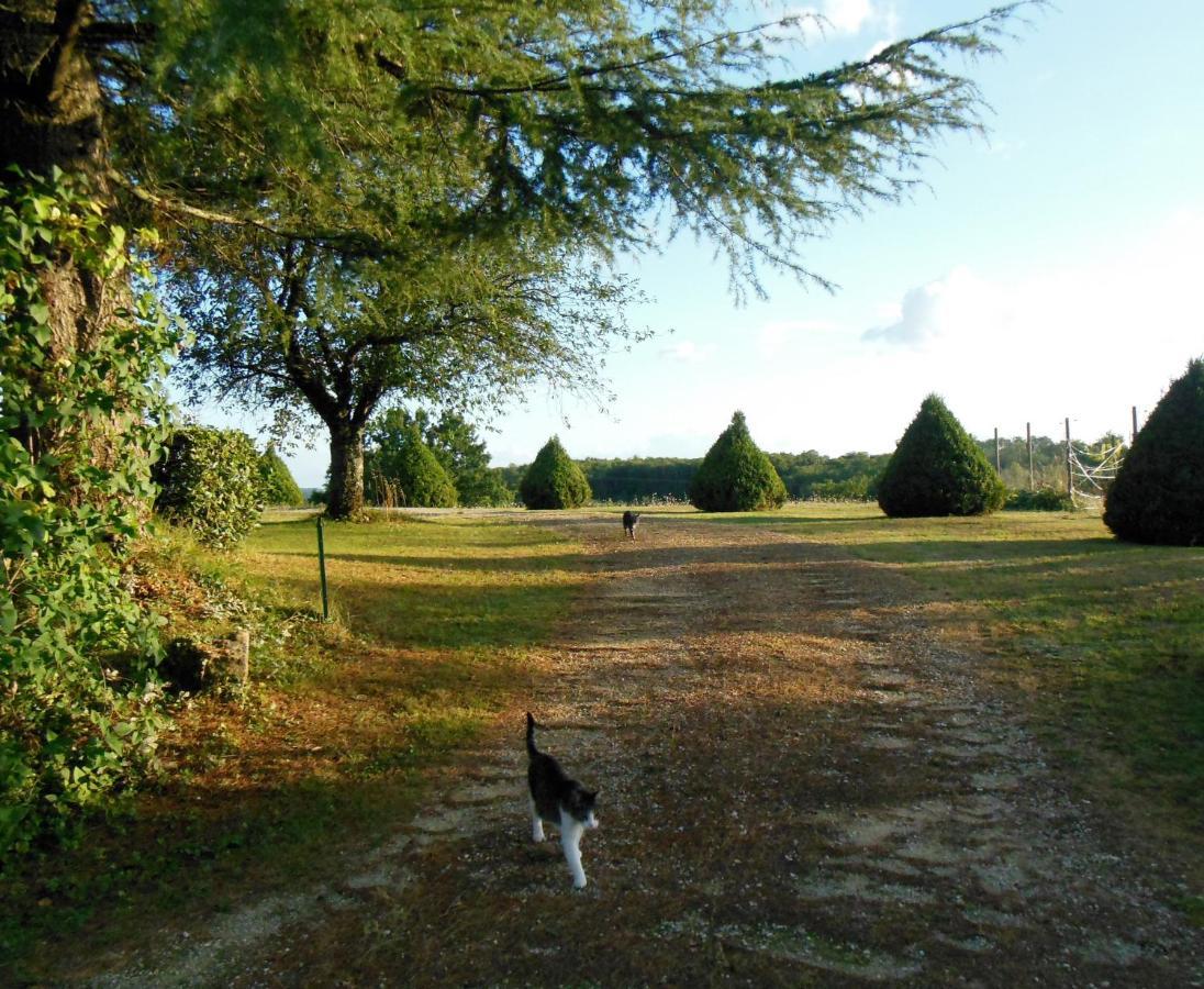 Hauts De Sentelines Sejour Authentique En Pleine Nature Gavaudun エクステリア 写真